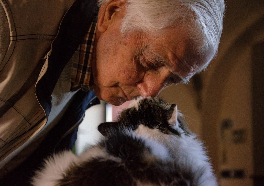 pet-friendly assisted living